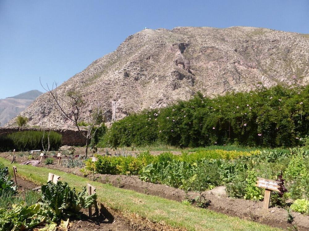 Hotel La Casona De Yucay Valle Sagrado Urubamba Exteriör bild